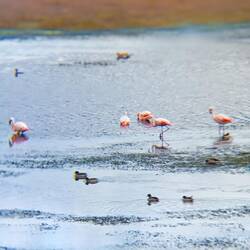 Mein mini Handy-Objektiv leistet volle Arbeit.. naja, zumindestens für ein 20€-Ding.