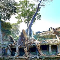 La nature reprend ses droits