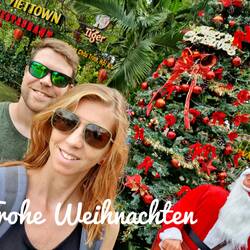 Merry Christmas 🎄🎁