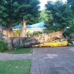 Das Ergebnis des letzten Hurricans: Das war ein Schulbus - aber nix passiert.