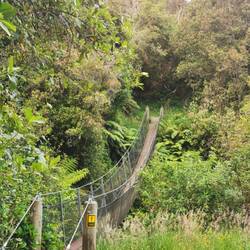 Und noch eine Hängebrücke