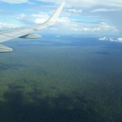 Regenwald pur vom Flugzeug aus