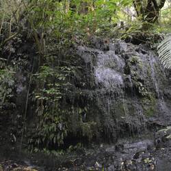 Horseshoe Fall