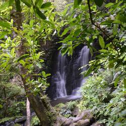 Horseshoe Fall