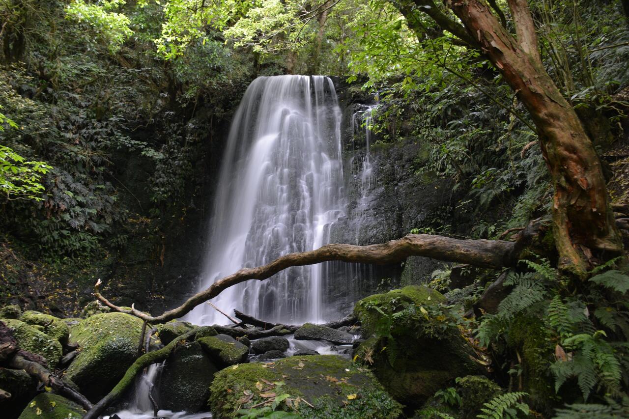 Matai Fall