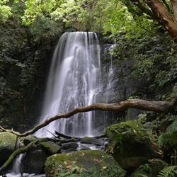 Matai Fall