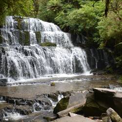 Purakaunui Fall