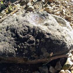 Petroglyphs and small bowl-like indentions carved into the rock.