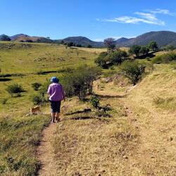 Little calves were bouncing around us as wewalked down the trail.