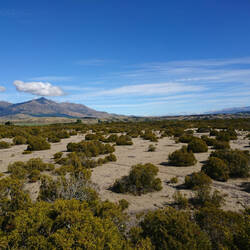 Wilderness Scientific Reserve