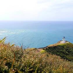 Cape Reinga oder Maori " Te Rerenga Wairua". Hier begeben sich Maori Seelen auf ihre Weg nach Hawaiki