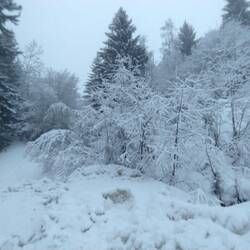 Neige dans les Alpes