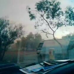 Thunderstorms each afternoon