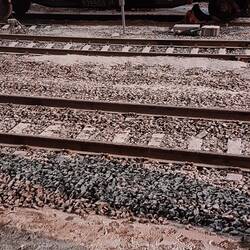 Snow at one of the train stops! Everyone estatic!