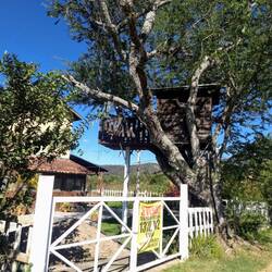 Tree house