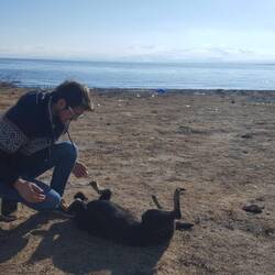 Das Spielen macht beiden Seiten Spaß