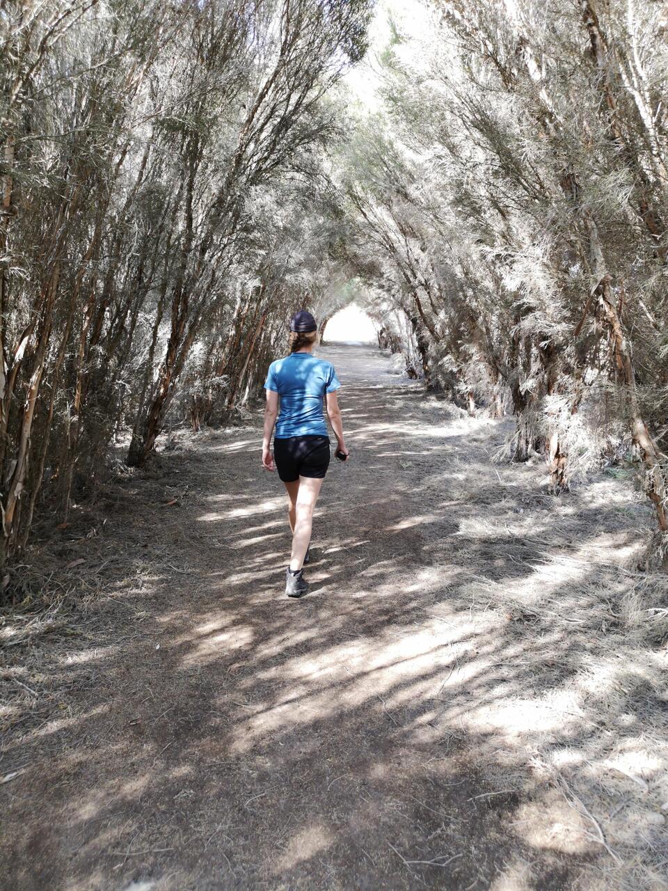 Bald Hill