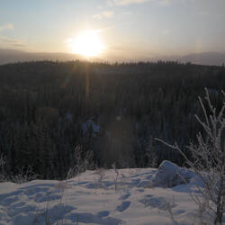 Sundog?