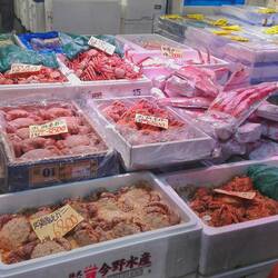 Überall Fische