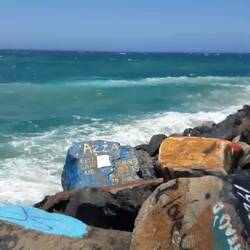 Hier schwimmen eigentlich die Delfine...