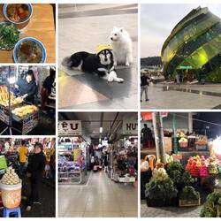 Unsere Tour über den Nachtmarkt...