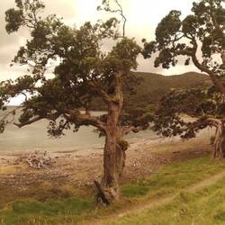 wie bei den Simpsons.