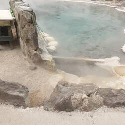 Mais in Beuteln zum garen im heißen See