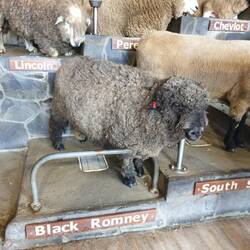 den mochten wir am liebsten