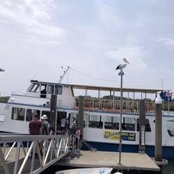 The ferry - note the pelican ontop of the light