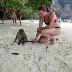 Monkey Beach