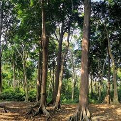 Na wo ist der Seven? 😄