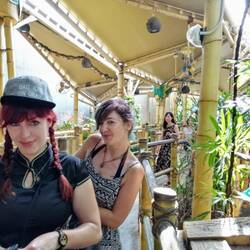 Und immer wieder laaaange Warteschlangen 🐍