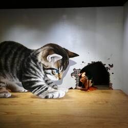 Vielen Dank für die Blumen 🎶😊