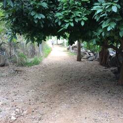 The path to the main beach
