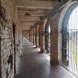 Cellular Jail