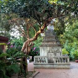 Ja, es gibt auch schöne grüne Orte :)