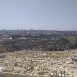 View of the Temple Mount as seen across the Kidron Valley from Mount of Olives