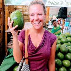 So groß können Avocados sein!