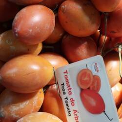 Eine Mischung aus aromatischer Tomate und Passionsfrucht - yummie!