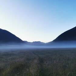 Morgennebel