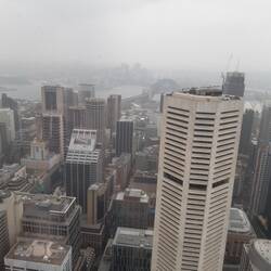 "Aussicht" vom Sydney Tower