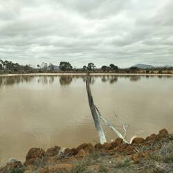 Salt encrusted on the water holes