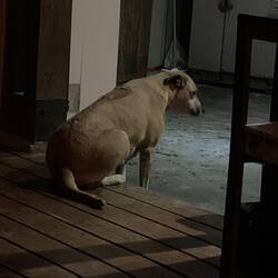 Fatima isn't allowed in the kitchen...