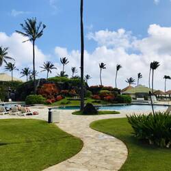 Love the colours of Kauai