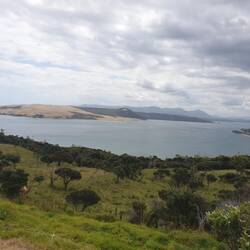 Hokianga .... auf der Durchreise