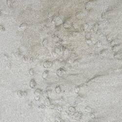 der Strand war voll damit.... Fischeier ?