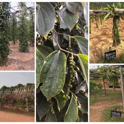 Impressionen von der Farm