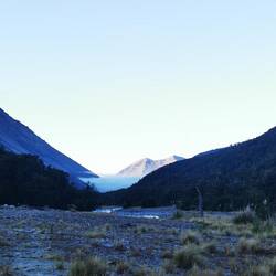 Morgennebel