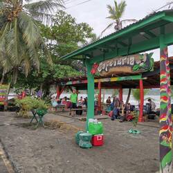 Busstation Puerto Viejo