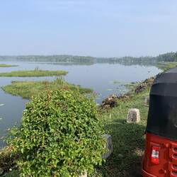 Beautiful lowlands on the way to Udawalawe